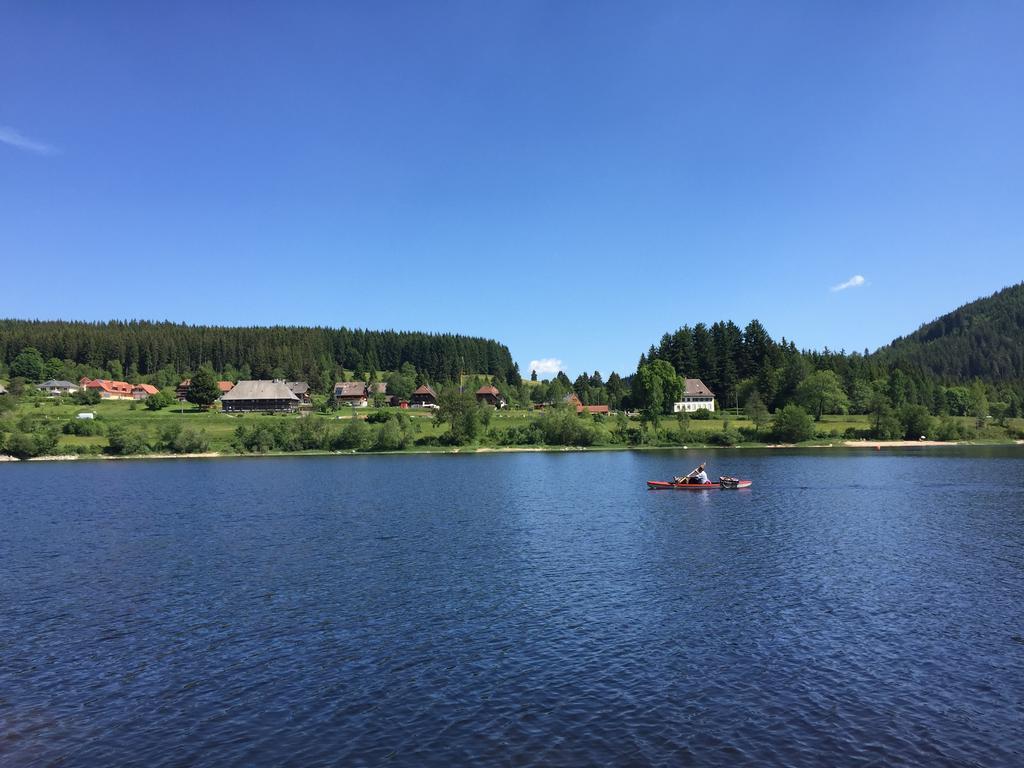 Pension Gloecklehof Todtnauberg Quarto foto